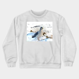 BY LAND AND SEA Crewneck Sweatshirt